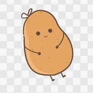 Meet your Posher, Delaney